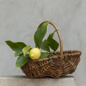 Unpeeled Willow Trug