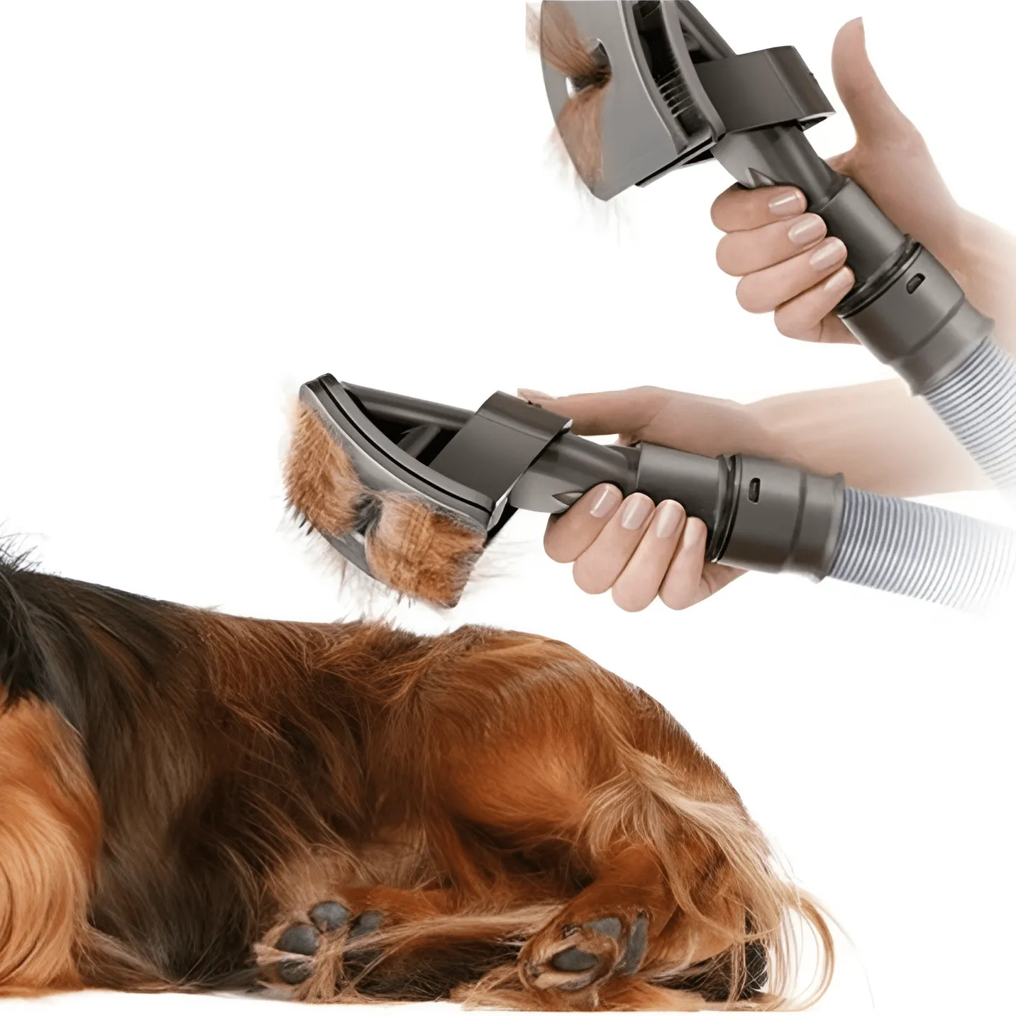 Vacuum Attachment For Dog Groom